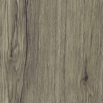 Q 37 ДУБ ЭССЕ