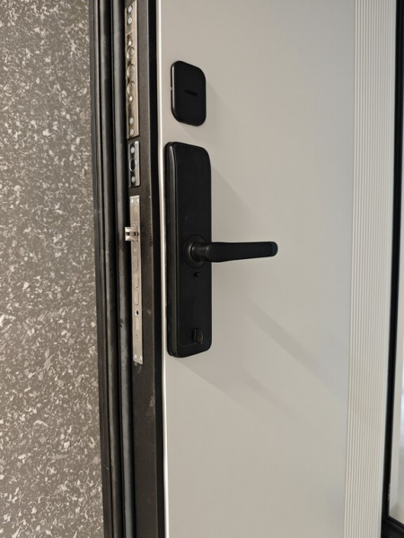 ЭЛЕКТРОННЫЙ ЗАМОК Dircode М701 Sciener
