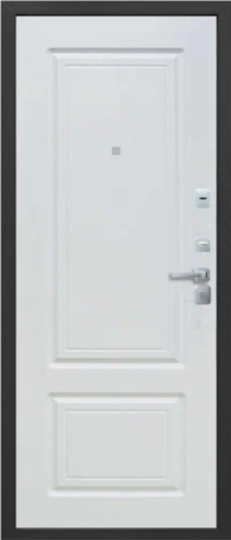 ТОЛСТЯК БУКЛЕ ЧЕРНЫЙ / БЕЛЫЙ ЯСЕНЬ